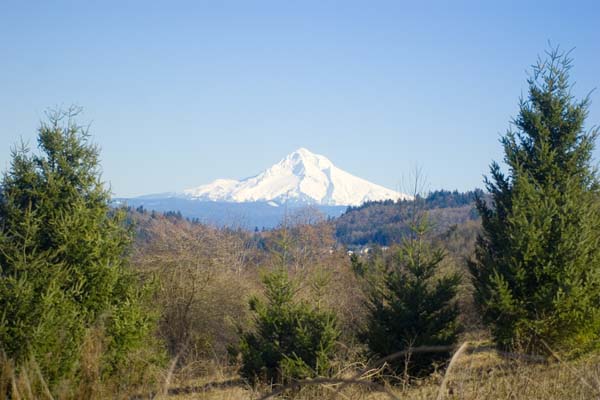 021906_MG_8490